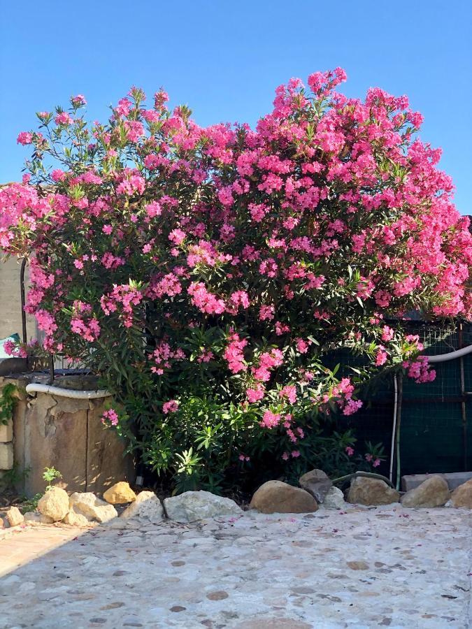 Hotel Agrialma Agrigento Exteriér fotografie